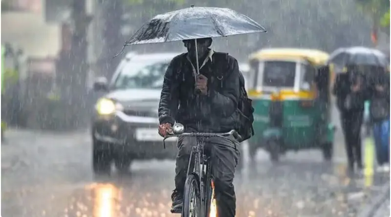 Weather Update: पंजाब में भारी बारिश, 5 जिलों के लिए अलर्ट