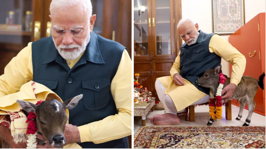 पीएम मोदी के आवास पर आया नन्हा मेहमान, नाम रखा गया दीपजोती, देखें Video